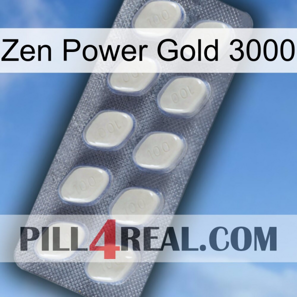 Zen Power Gold 3000 08.jpg